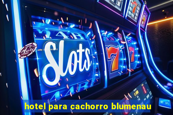 hotel para cachorro blumenau